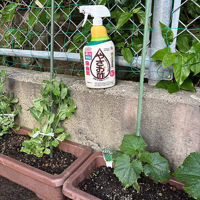 maayaさんの部屋