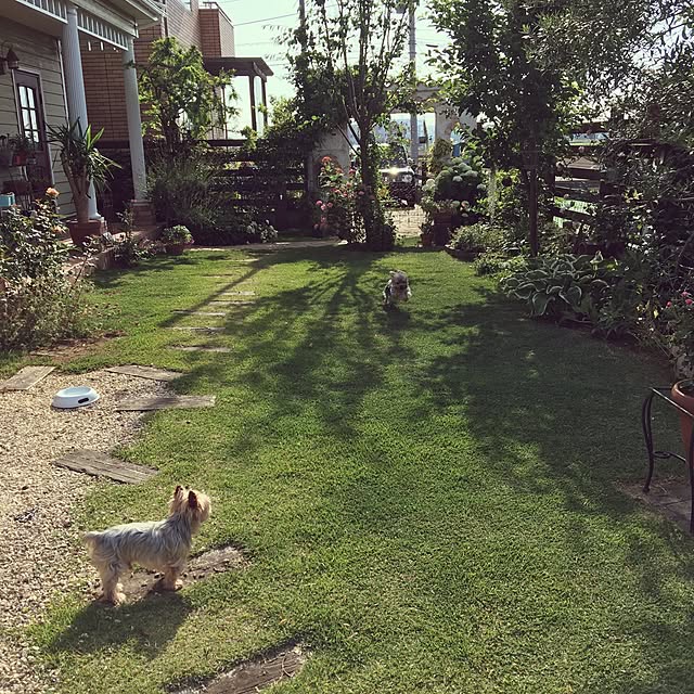 misacoさんの実例写真