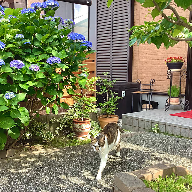 haruminさんの実例写真