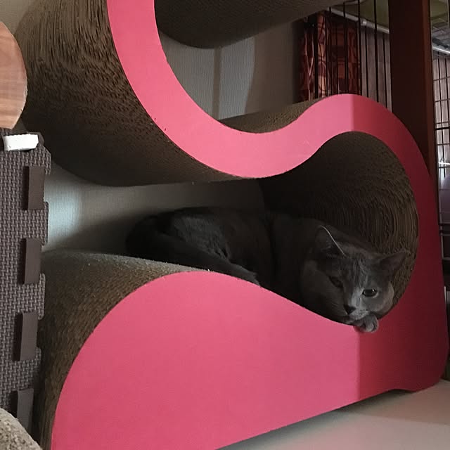 ikettenさんの実例写真