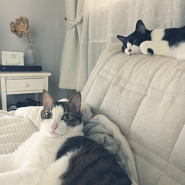 hiroko_ssnさんの実例写真