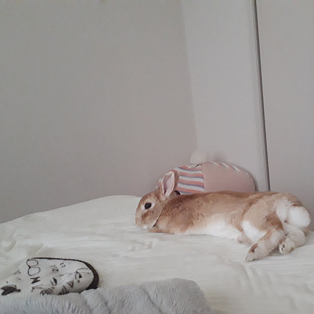 aiさんの実例写真