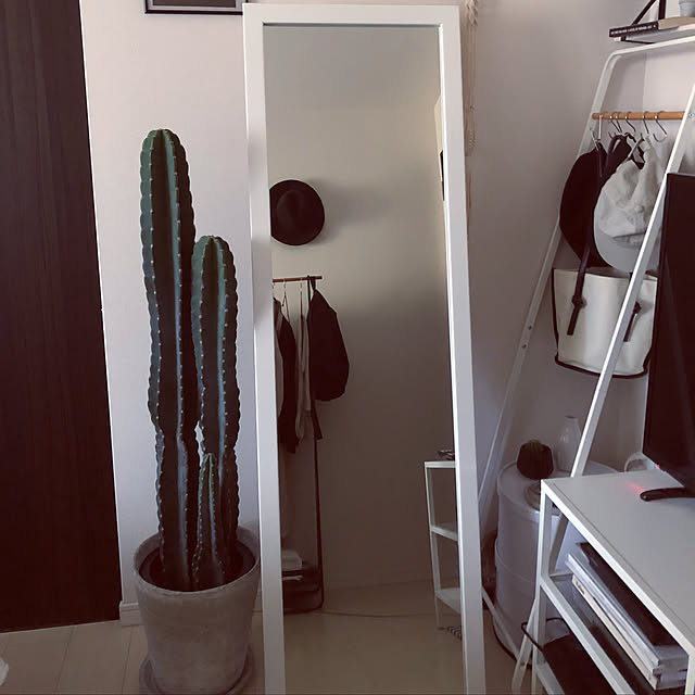 JUMPeyさんの実例写真