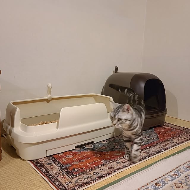 lovepeaceさんの部屋
