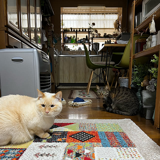 mohhaさんの実例写真