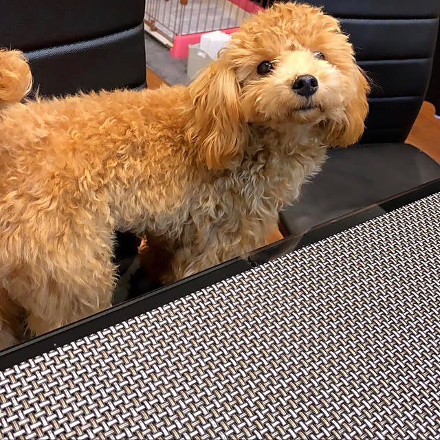 gulutoさんの実例写真