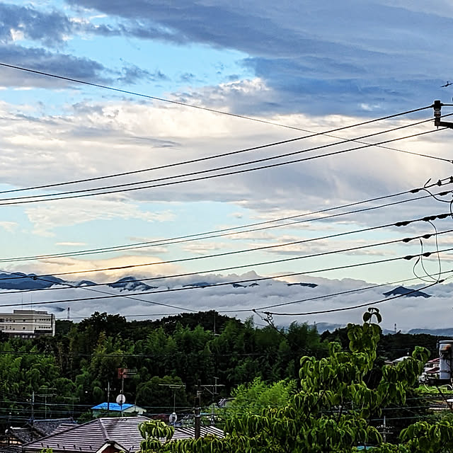 実例写真