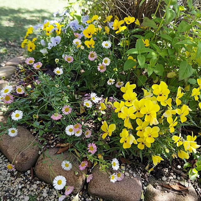 eriponさんの実例写真