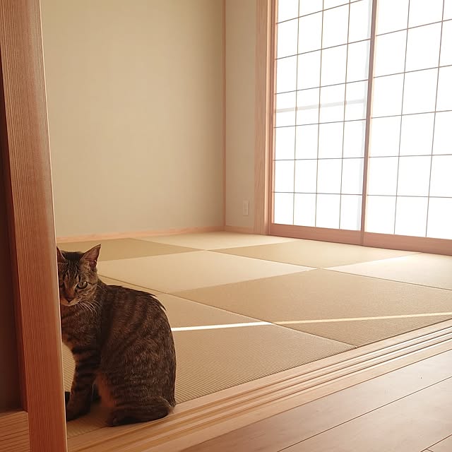 sunflower07さんの部屋