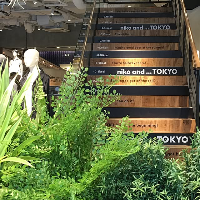 takaさんの実例写真