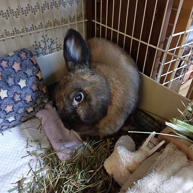 mariaさんの部屋