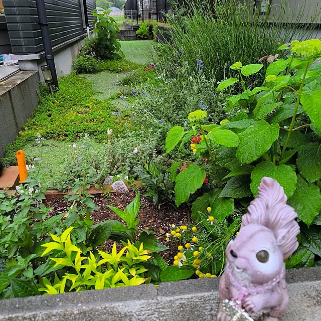 miharunさんの部屋