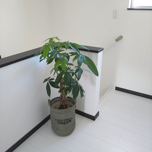 kojikojiさんの実例写真