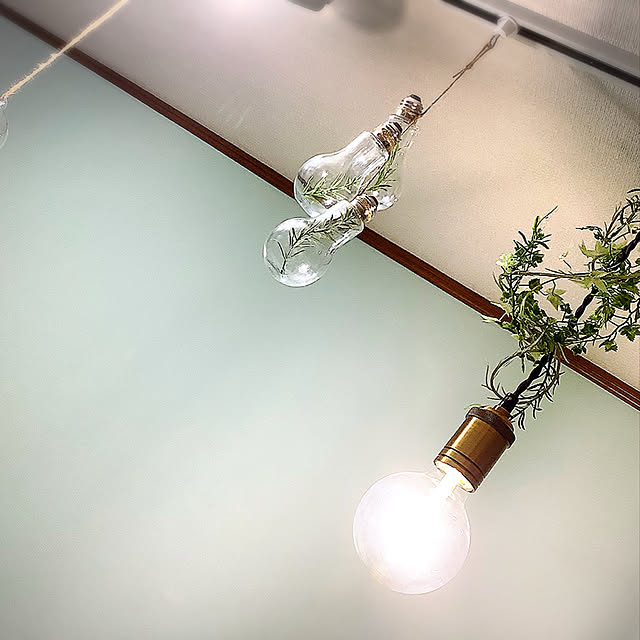 観葉植物/照明/壁/天井のインテリア実例 - 2020-08-16 22:32:30