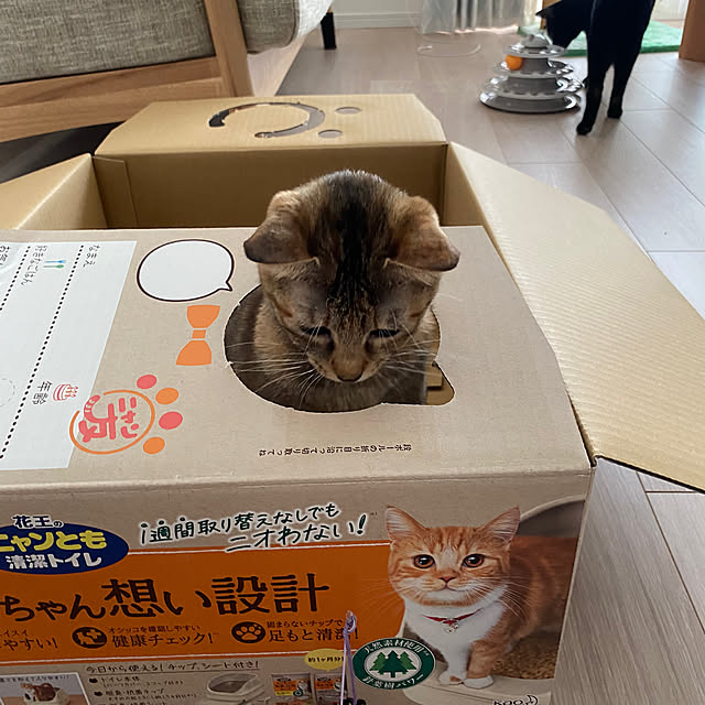 satopiさんの実例写真