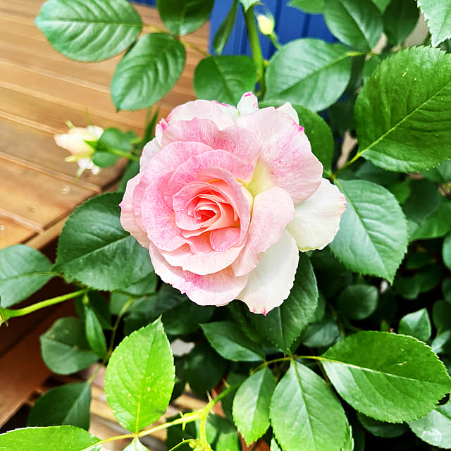 TYK_HOMEさんの実例写真