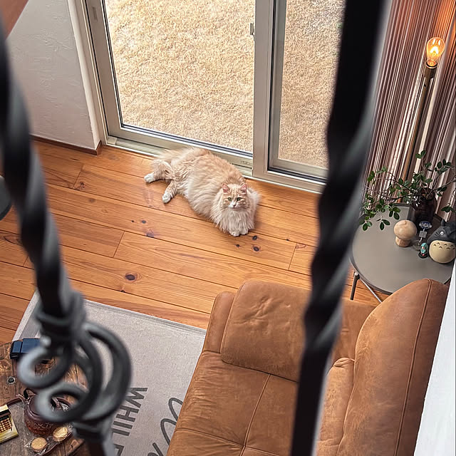 chibinoriさんの部屋