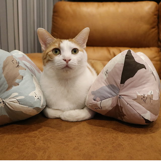 IKEHIKOさんの実例写真