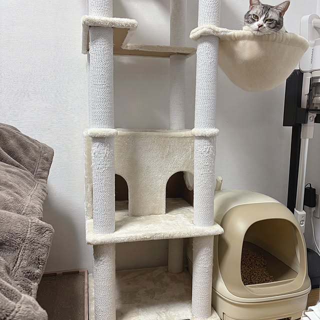 Atelier.mさんの実例写真