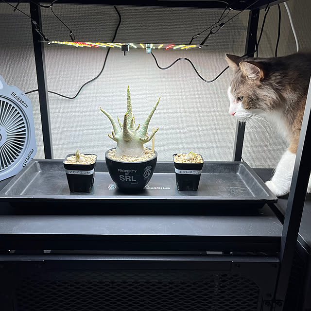 leoさんの部屋