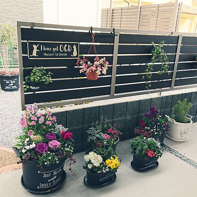 kohakuさんの実例写真