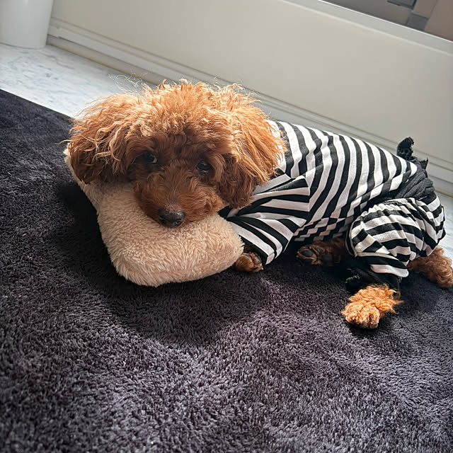 MOMOMAMAさんの部屋