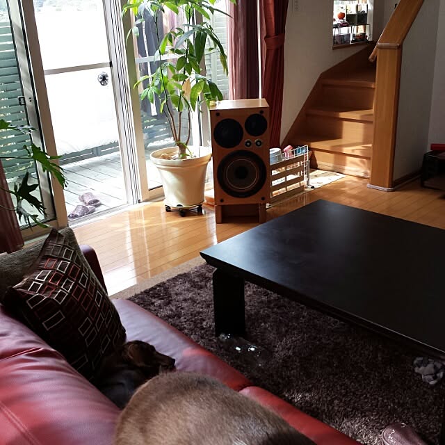 Shinobuさんの実例写真