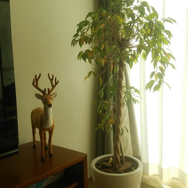 Kazuhiroさんの実例写真
