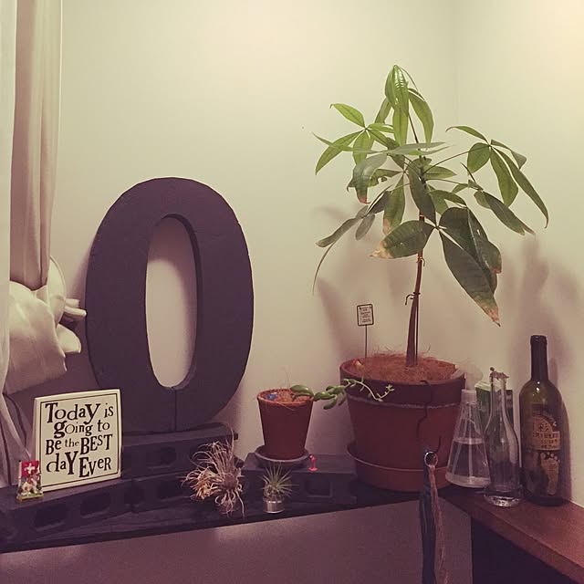 miyuo.comさんの実例写真