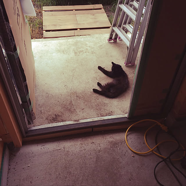 Rumiさんの実例写真