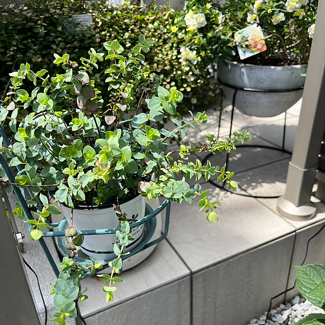 tomokokoさんの部屋