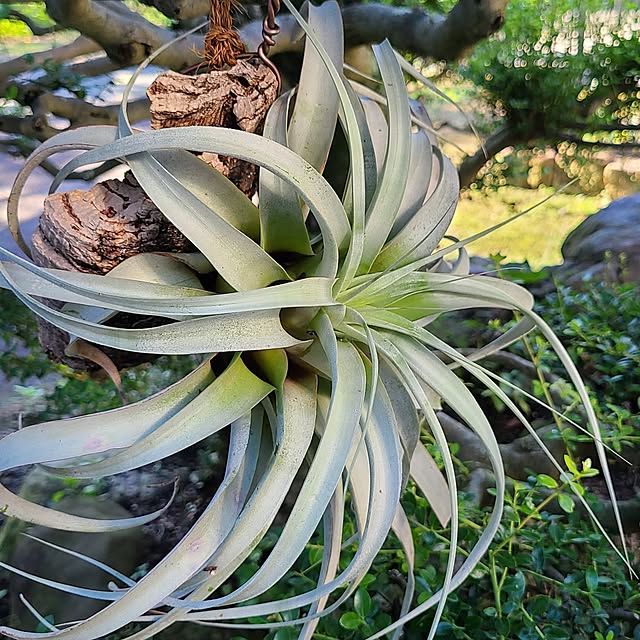 Rubiconさんの部屋