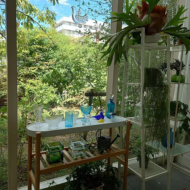 asmaさんの部屋