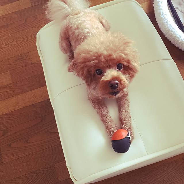 NAOさんの実例写真
