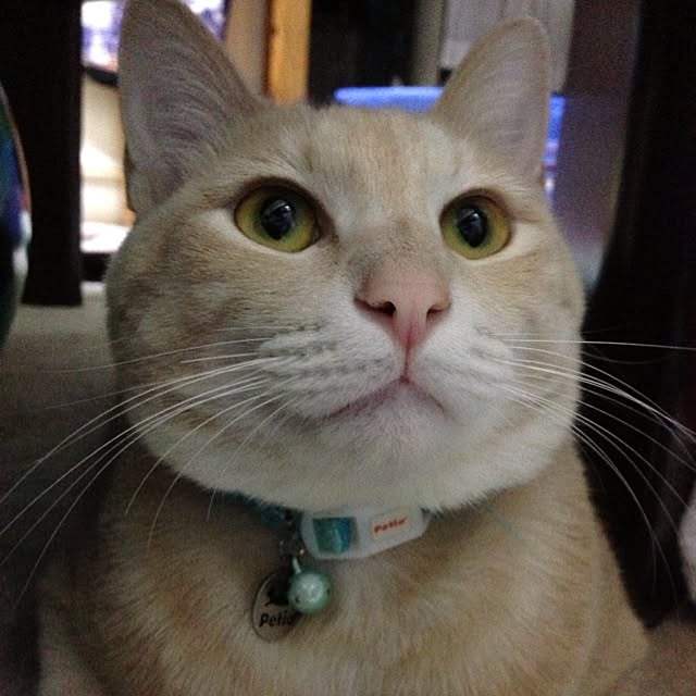 875さんの実例写真