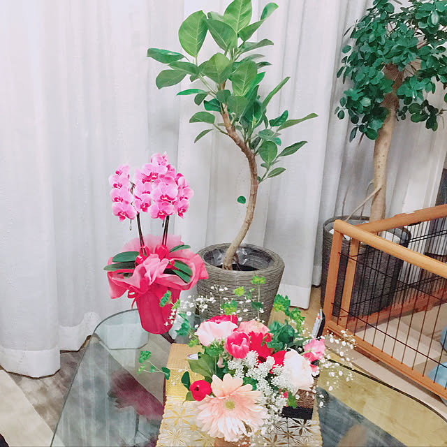 Masatoさんの実例写真
