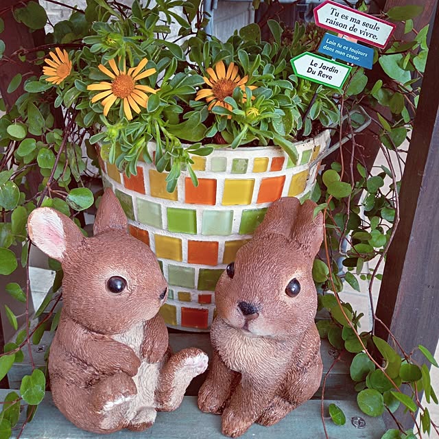 mocomocoさんの部屋