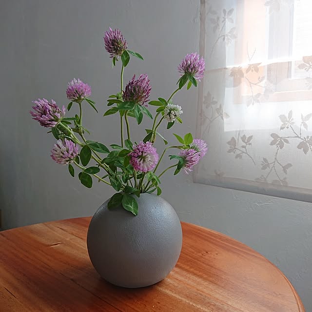 Mi-koさんの部屋