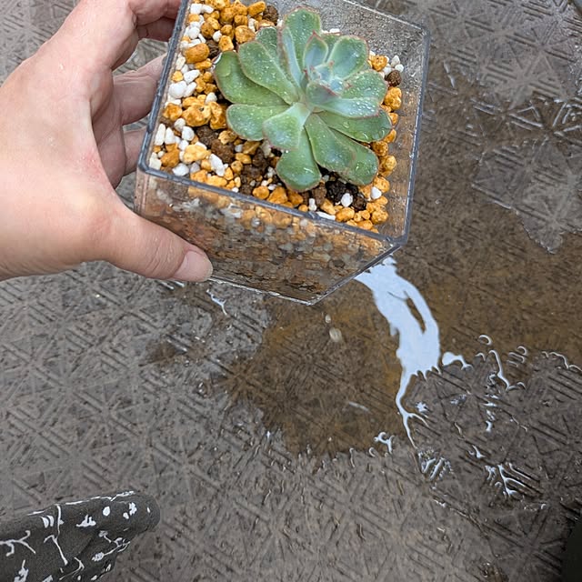 mi-saさんの部屋