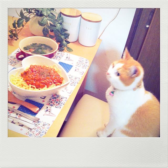 hide0415saoさんの実例写真