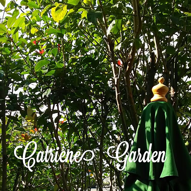 catriene0123さんの実例写真