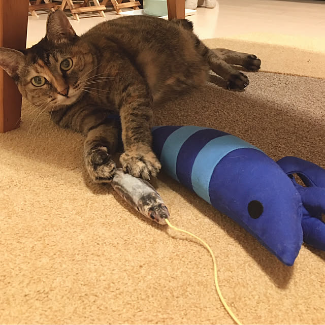 oasisさんの部屋
