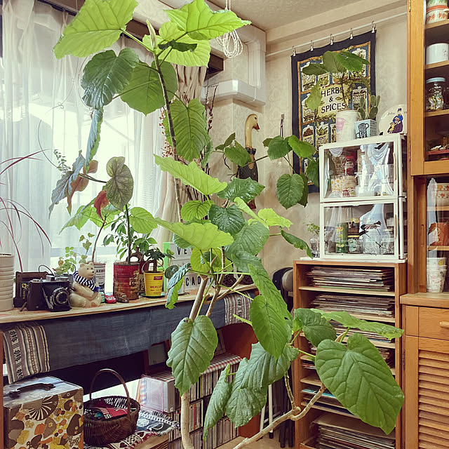 heidiさんの部屋