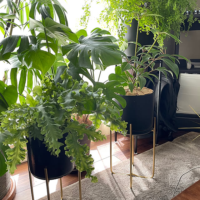 Ichiro_Tanakaさんの部屋