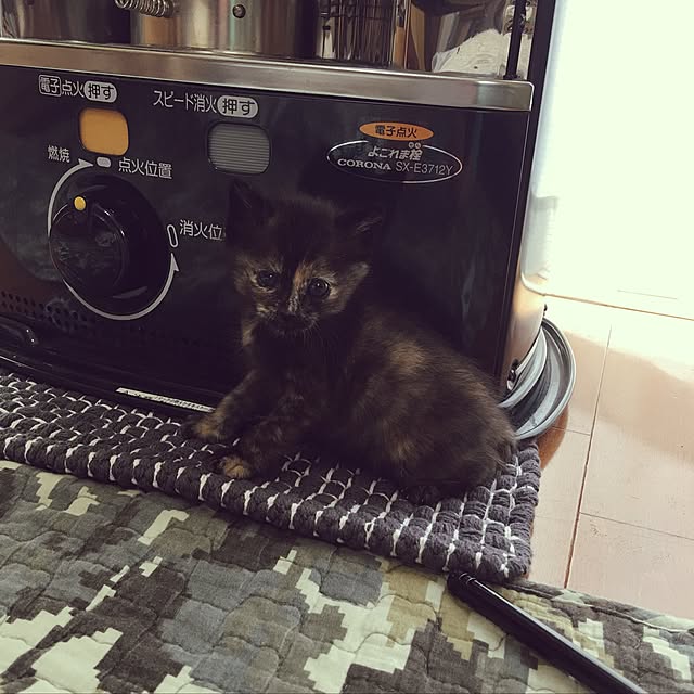 nanarikusoraさんの実例写真