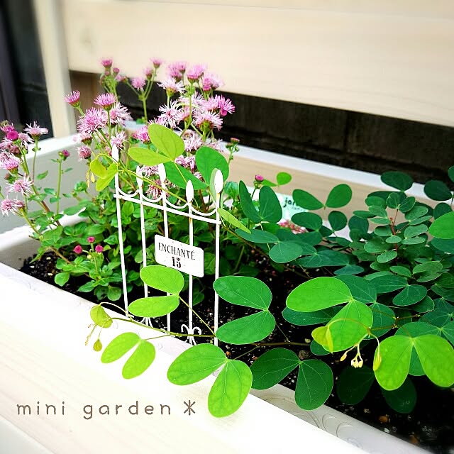 mieさんの実例写真