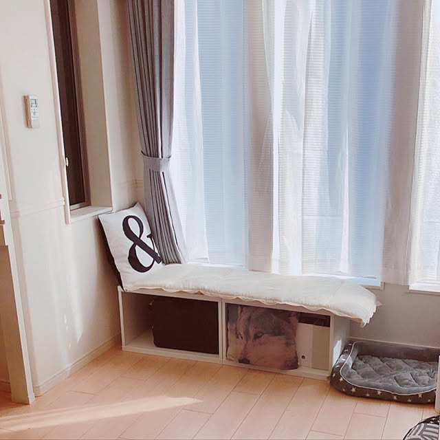 Ruiさんの実例写真