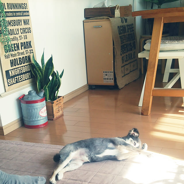 satominさんの実例写真