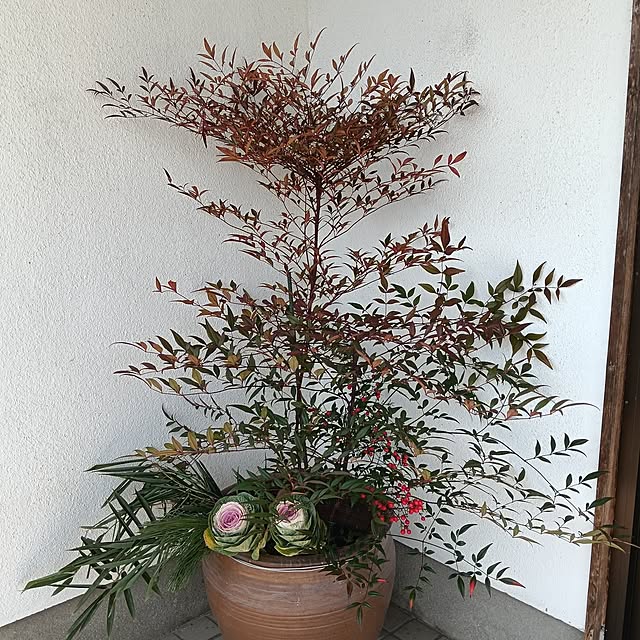 sumimarumiさんの部屋