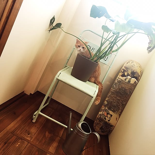 maruさんの実例写真